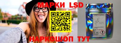 прущие грибы Железноводск