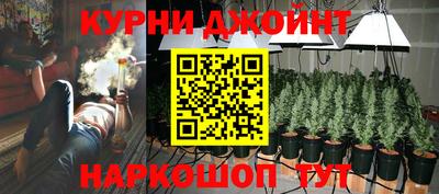 прущие грибы Железноводск