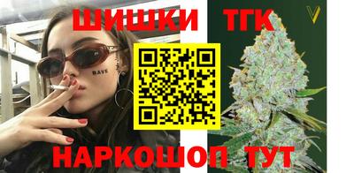 мдпв Ефремов