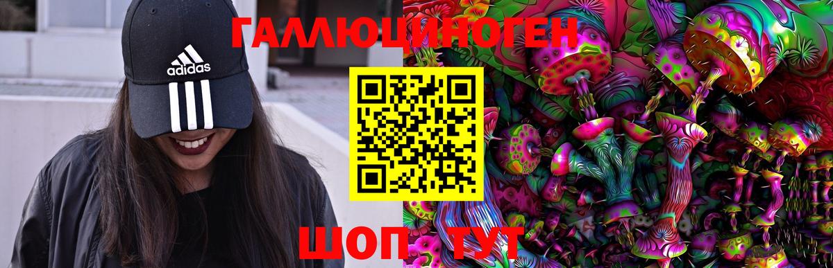 Псилоцибиновые грибы Psilocybine cubensis Людиново