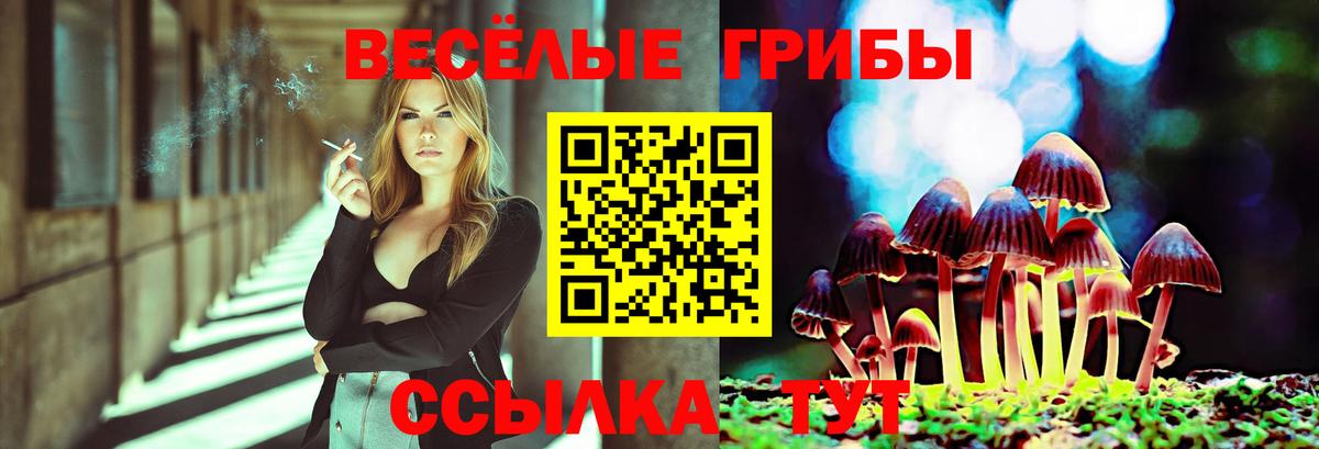 КОКАИН  ЭКСТАЗИ  Мефедрон кристаллы  Вход с VPN  Гашиш  Людиново  Бошки Шишки 