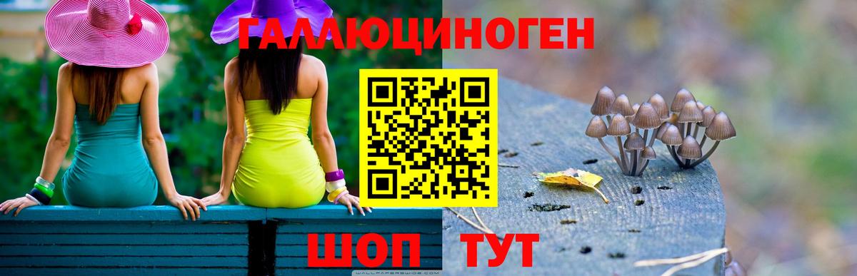 Людиново  Галлюциногенные грибы мухоморы  Вход с VPN 